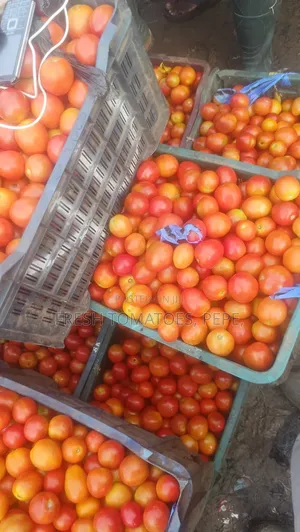 Vegetable Fresh To