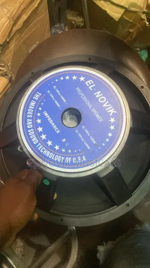 1200 Watts 15 Inches Speaker