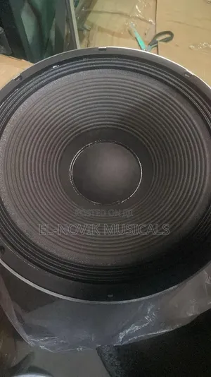15-Inch Big Magnet El-Novik 1200watts Naked Speaker