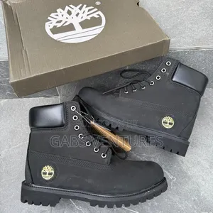 Sweet Deal Timberland Shoe