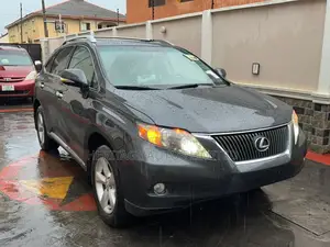 Lexus RX 350 2010 Gray