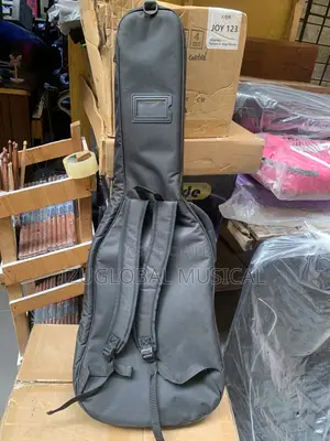 Db Professional Bass Guitar Bag