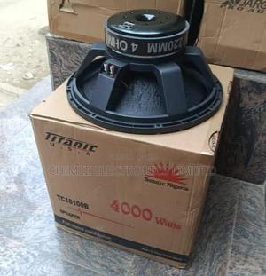 4000 Watt Titanic Naked Speaker