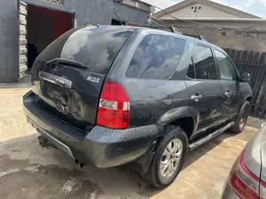 Acura MDX 2004 Gray