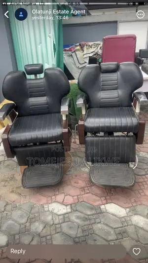 Salon Chair