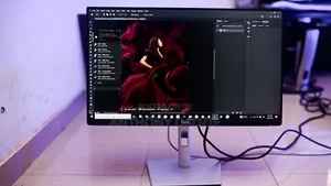 Frameless Ips Professional Monitor