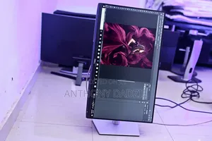 Frameless Ips Professional Monitor