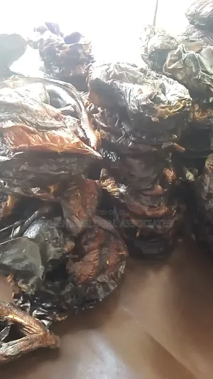 Dried Sea Fish