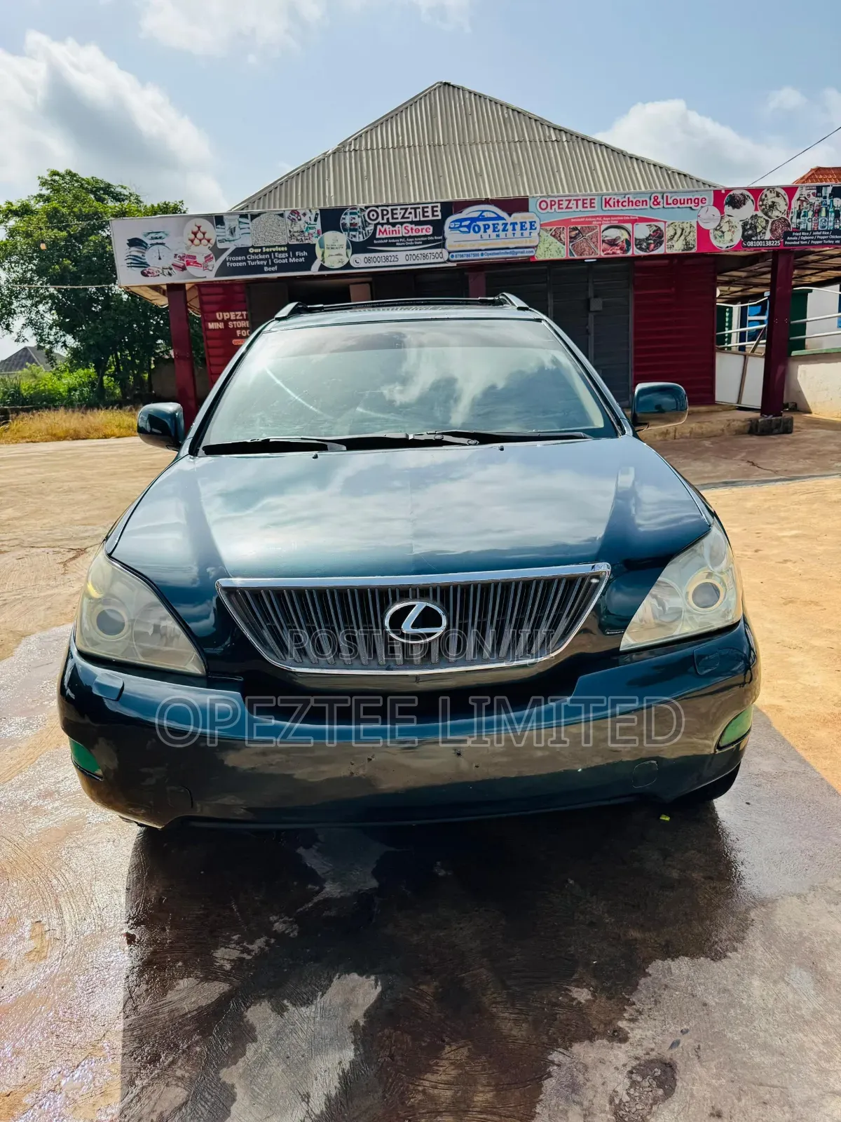 Lexus RX 330 2006 Green