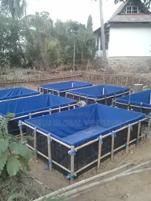 Portable Fish Pond Installation Service