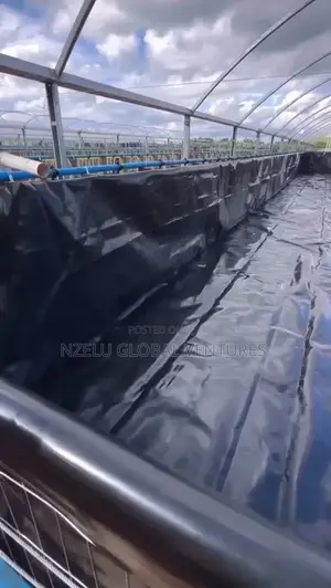 Large-Scale Aquaculture Pond