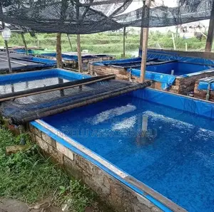 Fish Pond Tarpaulin for All Sizes