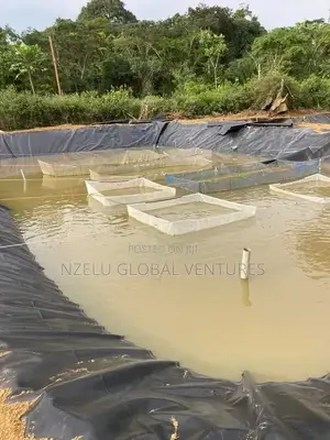 High Capacity Fish Farming Tarpaulin Pond
