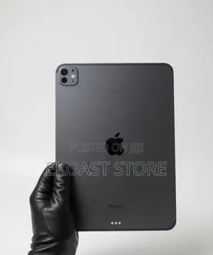 Apple iPad Pro 11 (2024) 256 GB Black