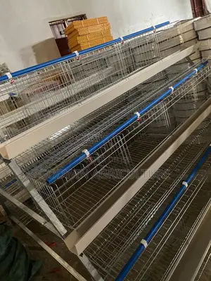 Imported Layers Cage