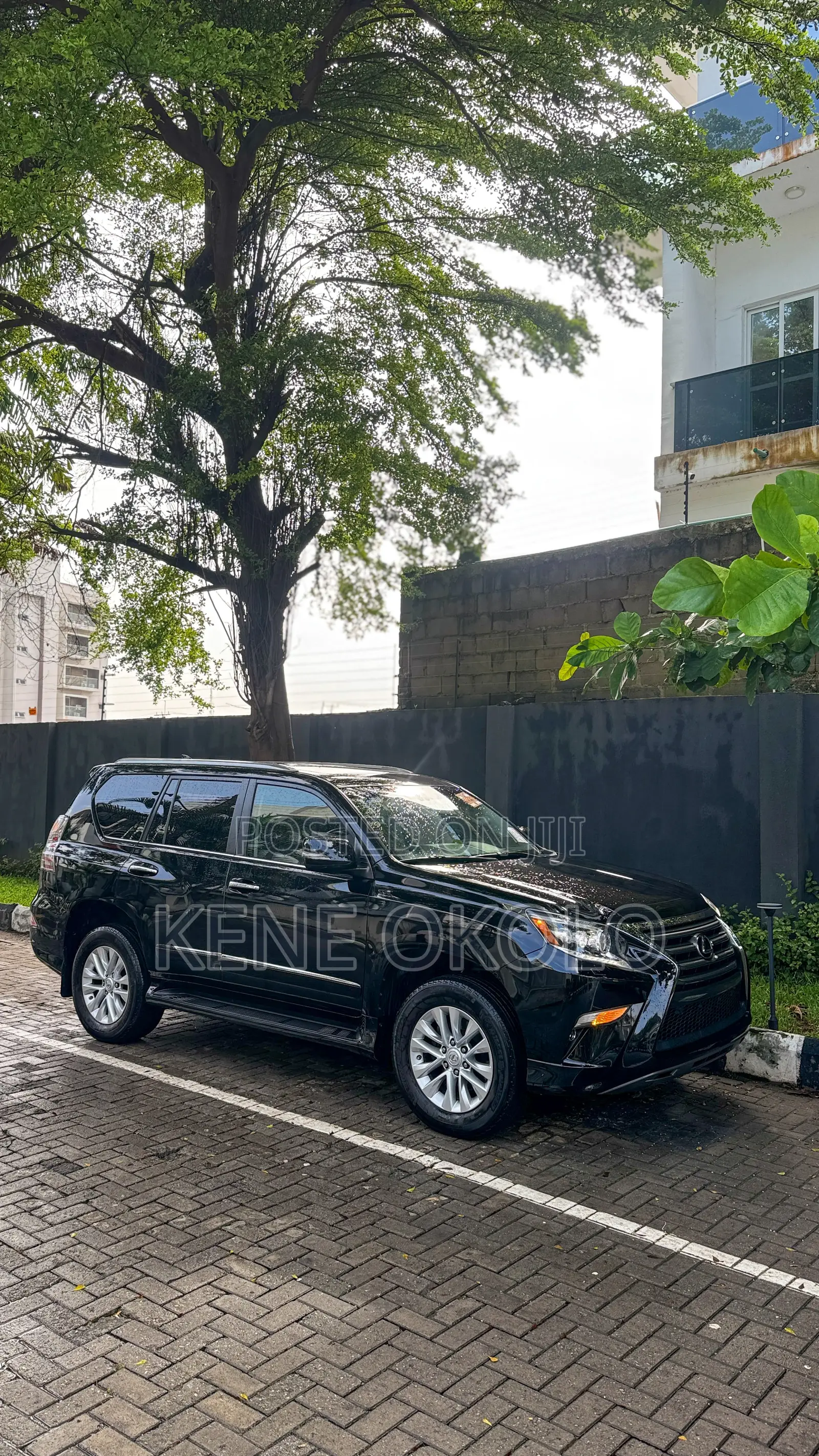 Lexus GX 460 Luxury 2019 Black