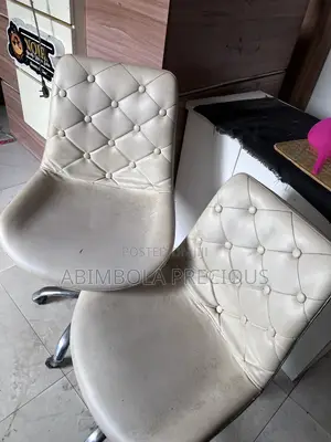 Salon Chair