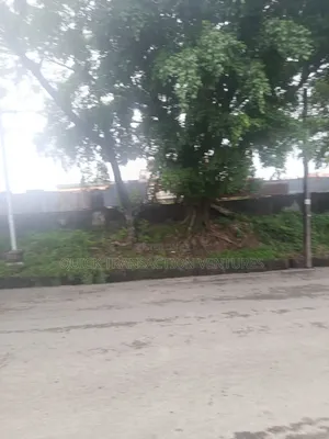 One Hectare of Land Fenced Round With Gate