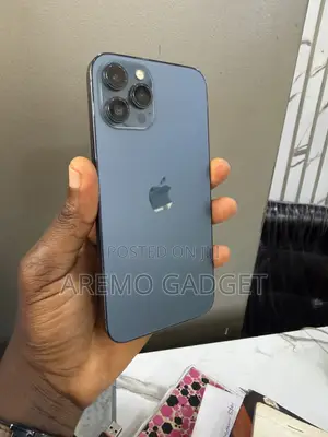 Apple iPhone 12 Pro Max 256 GB Blue