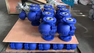 Steam Traps