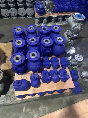 Steam Traps