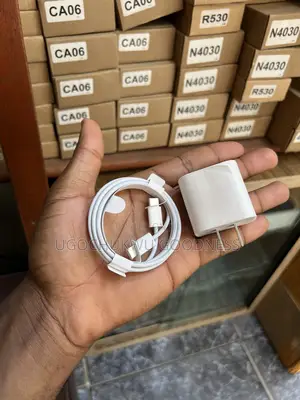 Type C Charger