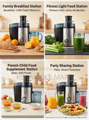 Fruits Juicer