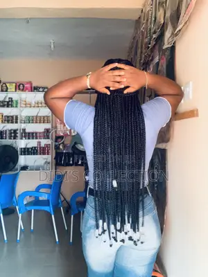 Braided Wig