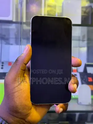 Apple iPhone 12 Pro Max 256 GB White