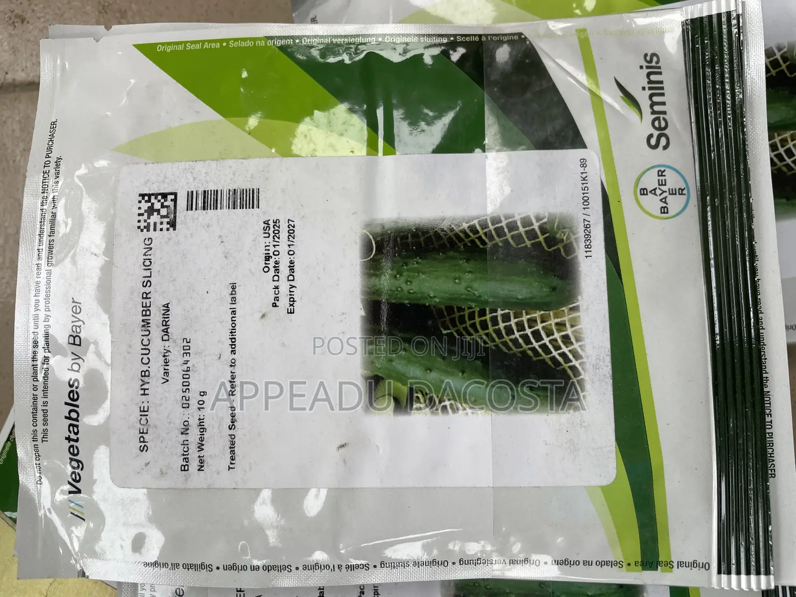 Darina Cucumber Seeds
