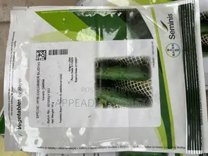 Darina Cucumber Seeds