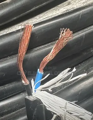 2x6mm Coleman Electric Flexible Cable
