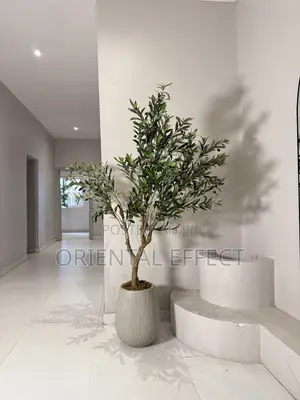 180cm Olive Tree In Granite Merlot Pot | Luxury Floor Decor