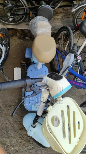 Electric Bike