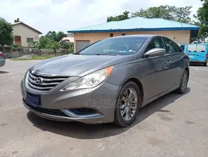 Hyundai Sonata 2011 Gray