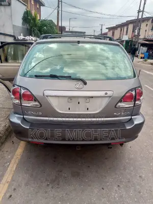 Lexus RX 2002 Gray