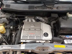 Lexus RX 2002 Gray