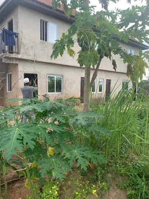 2bdrm Farm House in Obafemi-Owode for sale