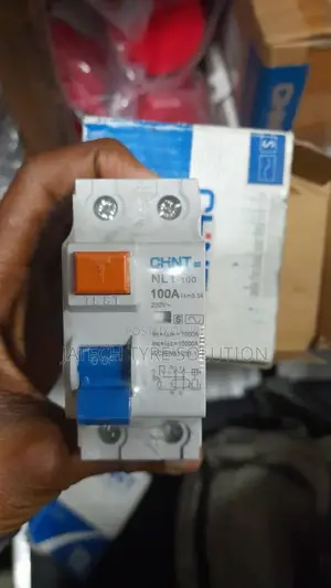 100a 2 Pole Elcb Chint