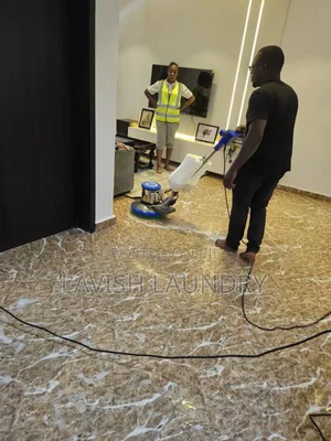 Deep House Cleaning and Cockroach Fumigation Lagos