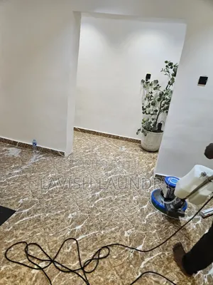 Trusted Home Cleaning and Fumigation Experts Lagos