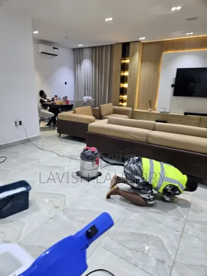 Quality House Cleaning and Rodent Control Lagos