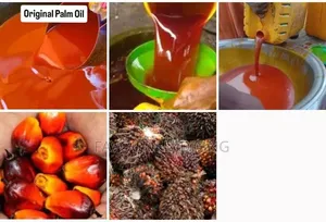 Premium Palm Oil