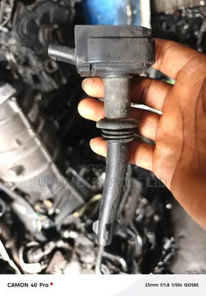 Coil Range Rover 2010/2014