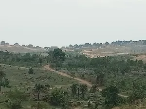 R of O. 5 Hecthers at Apo Tafi