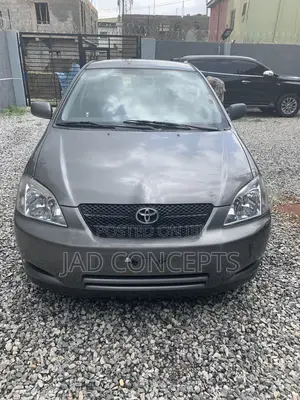 Toyota Corolla 2004 Gray
