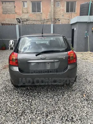 Toyota Corolla 2004 Gray
