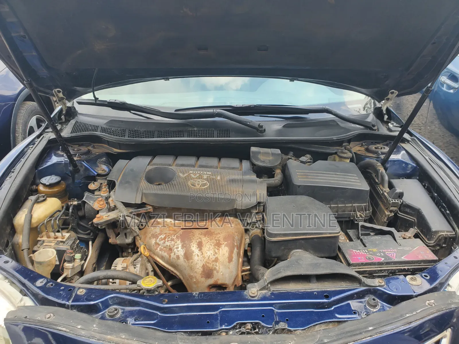 Toyota Camry 2010 Blue