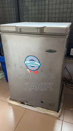 Haier Thermocool Deep Freezer