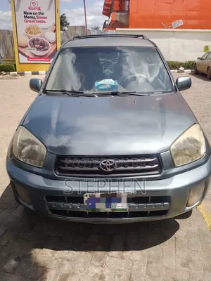 Toyota RAV4 2005 Blue